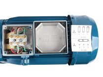 Bomba de combustible diésel Gespasa CG-1000