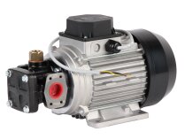 Bomba de aceite eléctrica Samoa BF-415