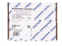 Regulador de presión de gas Giuliani Anello FGDR20