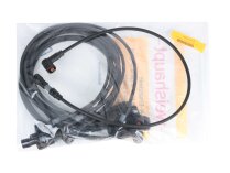 Cable del electrodo de encendido Weishaupt de 800 mm, 21710411092