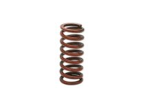Resorte Siemens AGA21, art: S55851-Z301-A100