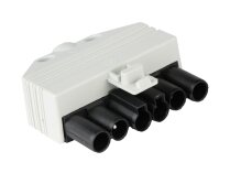 Conector Riello 6P, hembra, 3013203