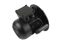 Motor eléctrico Weishaupt EC90/90-2/1
