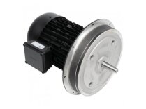 Motor eléctrico Weishaupt W-D132/170-2/6K5 25191707020 Ref. Art: We25191707020.