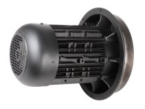 Motor eléctrico Weishaupt W-D132/210-2/10K0
