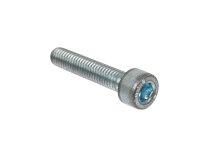Tornillo Weishaupt 402249