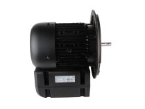 Motor eléctrico Weishaupt 21510407360