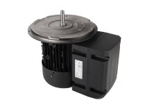 Motor eléctrico Weishaupt 21510407360