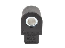 Bobina Electromagnética Riello 8W, 3003594
